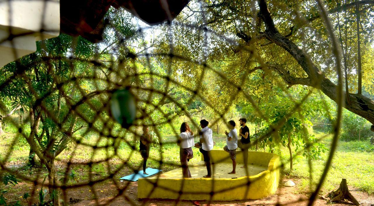 The Nest By Hostelogy Anjuna Bagian luar foto